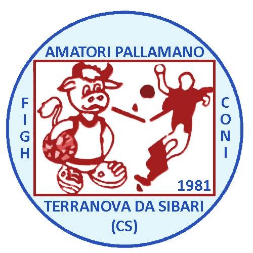 amatori pallamano terranova